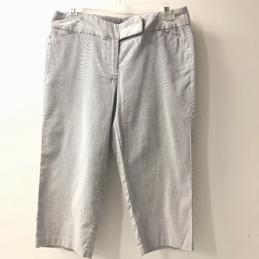Ann Taylor Capris Size 2